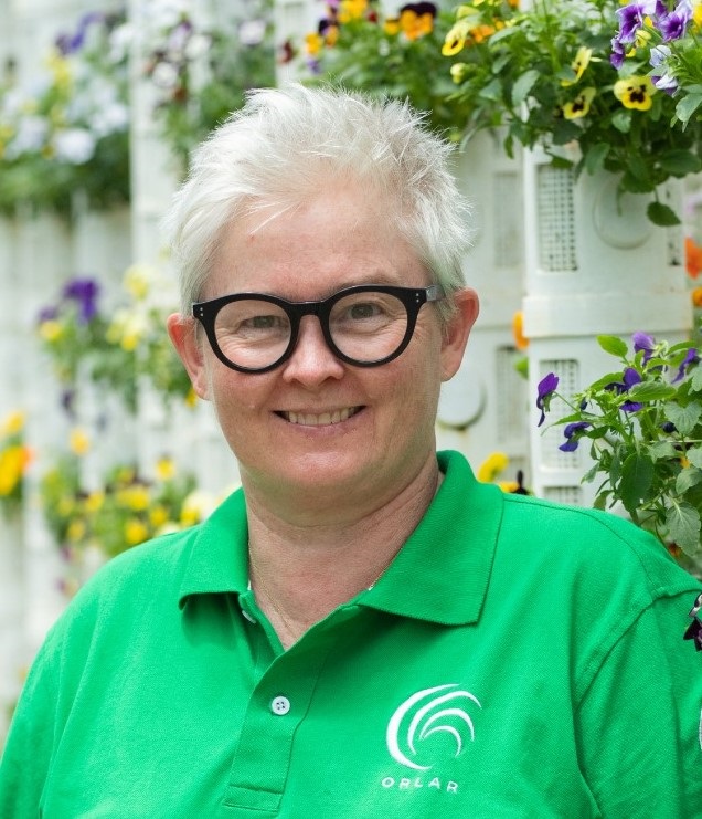 image-20240312091722-1